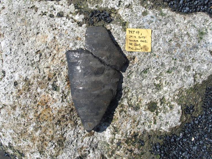 Podvodne arheološke raziskave – Fizine, Portorož | Foto: Zavod za podvodno arheologijo