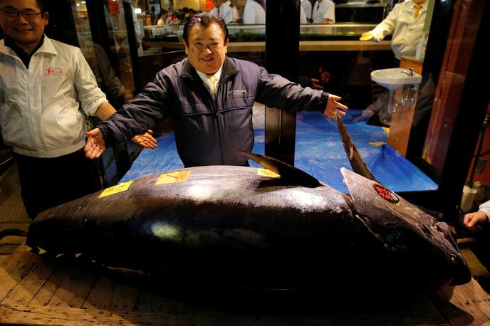 Tokio Kiyoshi Kimura modroplavuti tun tuna Japonska suši | Kupec 278 kilogramskega tuna je japonski "kralj tun" Kiyoshi Kimura, predsednik verige japonskih restavracij Sushi Zanmai. | Foto Reuters