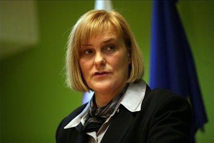 Radić: Obvezna garancija bi lahko ostala