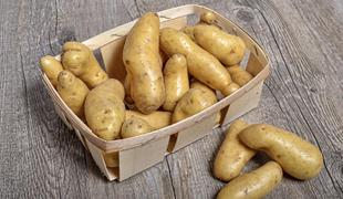 Ko se politiki sprejo zaradi mladega krompirja