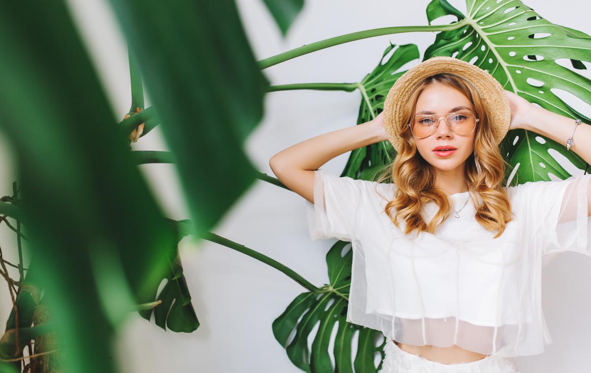 monstera | Foto Shutterstock