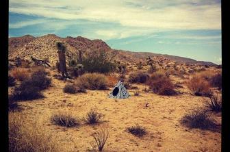 Trajnostno počivališče za domače živali