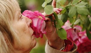 Naš nos lahko zazna kar bilijon različnih vonjav