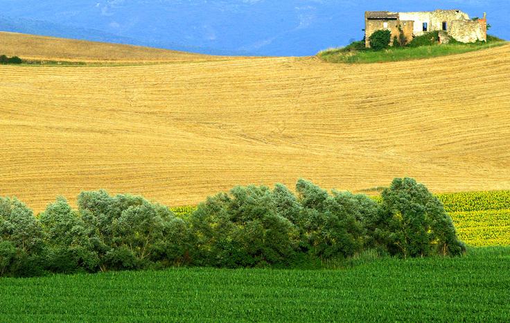 Toskana je lepa za življenje. | Foto: Reuters
