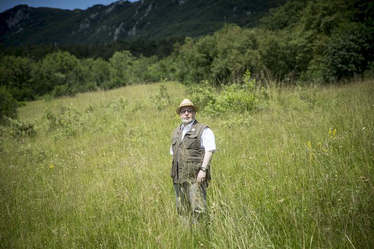 "Če mi nekdo reče zeleno, je zeleno, ker si predstavljam travnik iz Lokavca." | Foto: Ana Kovač