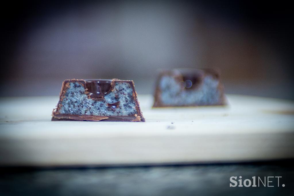 Maks Pogačnik, Molinet