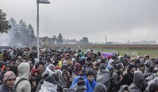 Poljska vlada bi sirske begunce poslala domov, naj se tam bojujejo