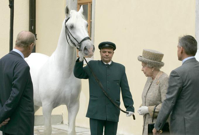 kraljica Elizabeta in konj | Foto: STA ,