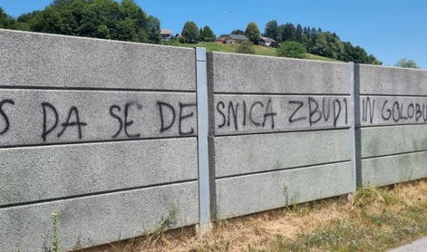 V volilni bazi SDS: Golobu 3 metke spustit
