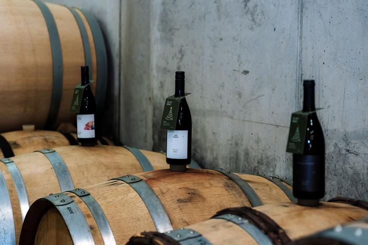 Zlati grič ponuja pestro izbiro vin za različne okuse in priložnosti. Z bogatim znanjem in dolgoletnimi izkušnjami pa vam bodo znali priporočiti tisto vino, ki bo vašemu obdarovancu najbolj pristajalo.  | Foto: Zlati grič