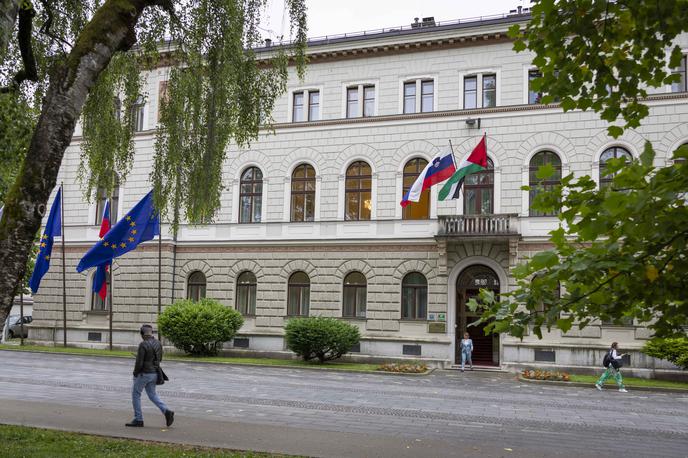 palestinska zastava | Palestinska zastava bo na pročelju predsedniške palače visela teden dni. | Foto STA