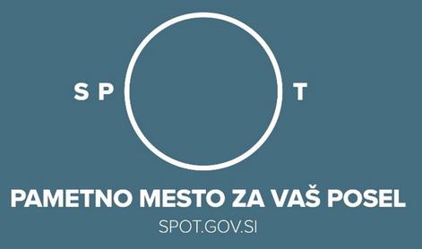 Sistem brezplačnih podpornih storitev države za poslovne subjekte