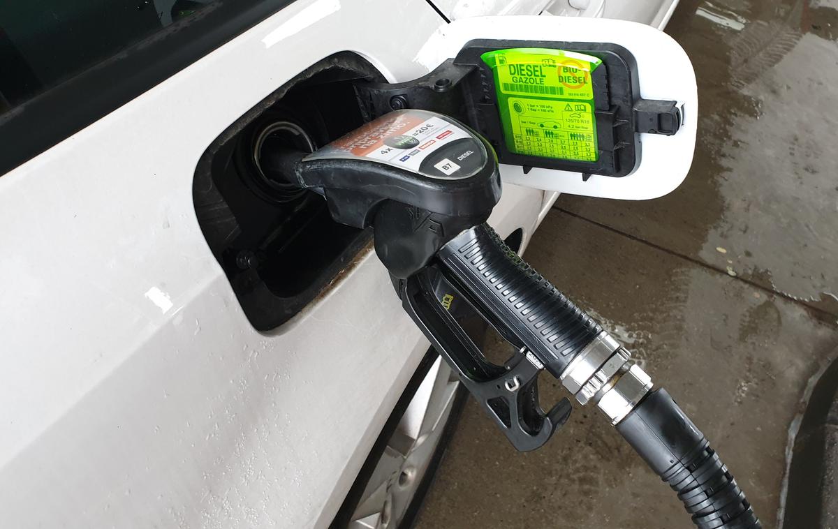 bencin dizel petrol siol avto gorivo | "Predlagajo, naj svoje znanje vlivam vanje brezplačno, medtem ko mi nalivanje bencina zaračunavajo." | Foto Metka Prezelj
