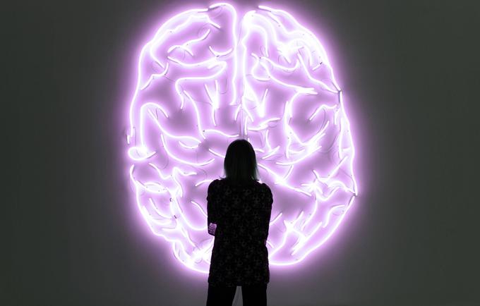 Možgani | Foto: Guliverimage/Vladimir Fedorenko