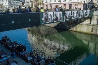 Ribjo brv prelepili z obrazi (foto)