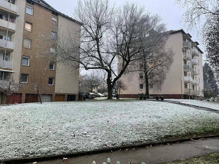 sneg, Novo mesto | Foto: Bralec