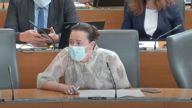 Sramotno in nizkotno: žaljive besede med poslankami #video