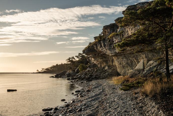 Kaj imajo skupnega švedska fika, jutranja savna in pica z lisičkami?