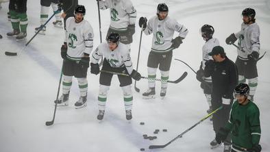 Olimpija serijo pripravljalnih tekem začela s porazom na Koroškem