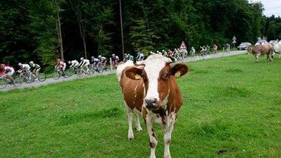 Posnetki vseh etap na dirki Po Sloveniji