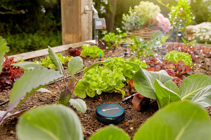 GARDENIN senzor vlažnosti tal poskrbi za optimalno vlažnost tal in prepreči prekomerno zalivanje. | Foto: Gardena