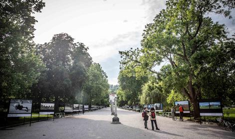 V Ljubljani začetek zbiranja podpisov za občinski referendum