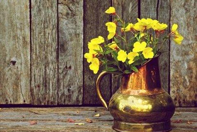 Rumeno-zlate barve pričarajo jesen v domu