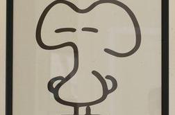 Skrivnostni Državljan Diareja