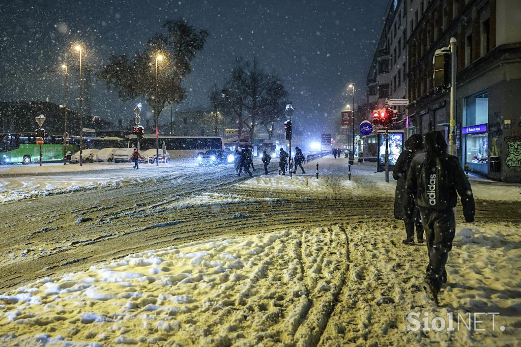 Sneg v Ljubljani