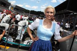 Islamisti trdijo: Polovica Avstrijcev je etničnih Slovencev