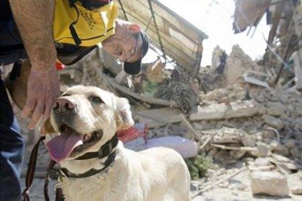 Slovenski vodniki reševalnih psov na prvenstvo v Romunijo