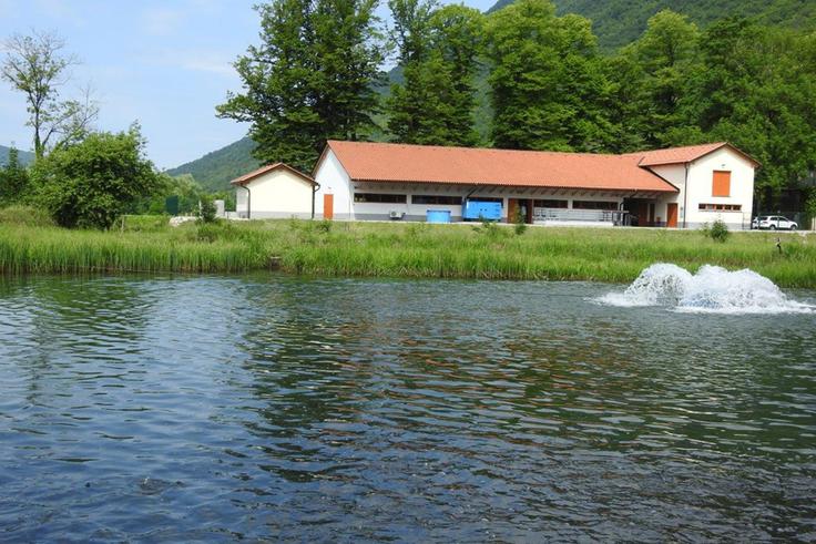 Ribogojnica Soča z lastno trgovino potrošnikom omogoča dostop do svežih lokalno pridelanih rib in sledljivega izvora. Lokalno pridelane ribe pomenijo krajšo pot od ribogojnice ali vode do krožnika, večjo svežino in boljši nadzor nad kakovostjo. | Foto: ZZRS