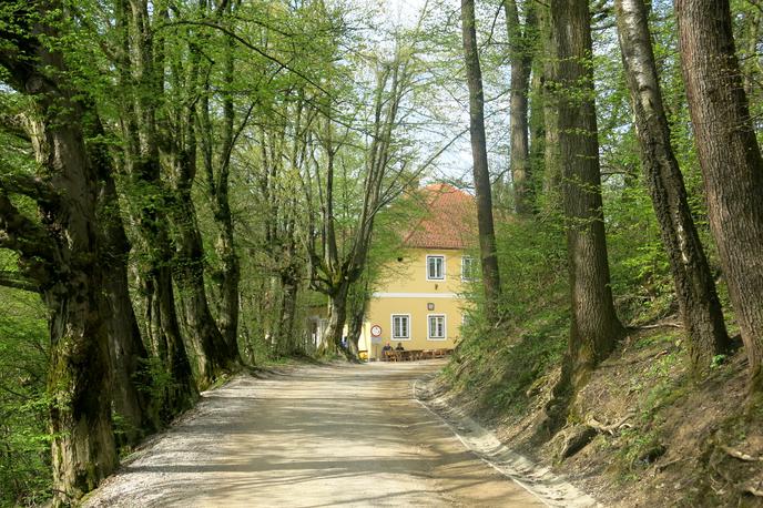 Ocena gostilne: Rožnik | Foto Miha First