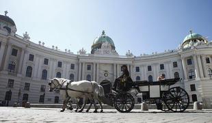 Bodo Avstrijci nehali reševati slovensko brezposelnost?