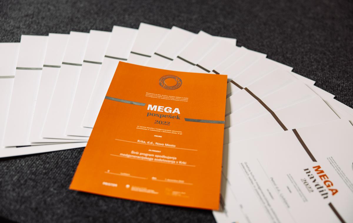 Priznanje delodajalcem | Natečaj za priznanje MEGA je bil letošnjo jesen izveden tretjič zapored v okviru projekta Vsi zmagujemo. | Foto Sodelovalnica