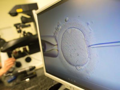 Danes začne veljati zakon o oploditvi z biomedicinsko pomočjo