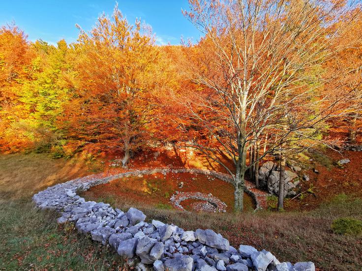 Kamniti polž ob poti proti Otliškemu oknu je ena tistih posebnosti, ki preseneti sredi narave. | Foto: Shutterstock