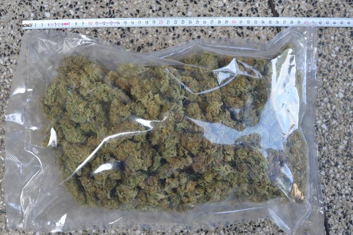 Zaseg droge | Med hišno preiskavo so policisti zasegli več vrst prepovedane droge. | Foto PU Celje