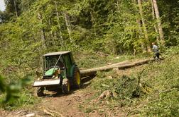 Slovenski državni gozdovi lani s 13,2 milijona evrov dobička