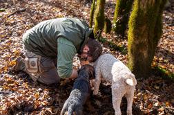 Najdragocenejši okus jeseni – beli tartuf