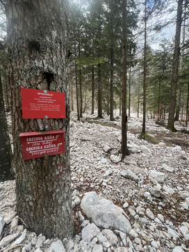 Suhadolnik Kokrško sedlo