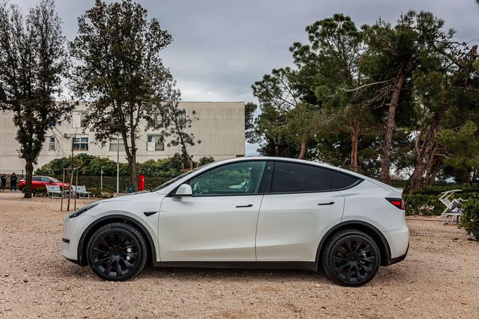 Tesla z modelom Y nudi najbolj celovit paket električnega avtomobila.  | Foto: PRIMA