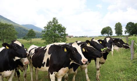 Za blagovno znamko ANTON se skriva slovenska agroživilska veriga, združena v Skupino Farme Ihan – kmalu Skupino ANTON
