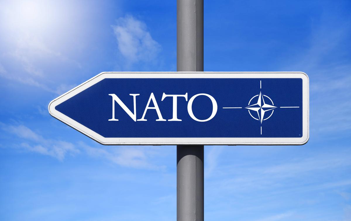 Nato znak | Obrambni ministri zveze Nato bodo razpravljali o ključnih odločitvah vrha v Haagu. | Foto Guliverimage
