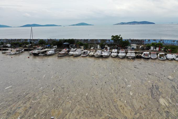 Strokovnjaki izredno veliko količino sluzi v zadnjem času povezujejo tudi z višjimi temperaturami morja, ki so posledica podnebnih sprememb in spuščanja odplak v morje. | Foto: Reuters