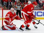 Detroit Red Wings