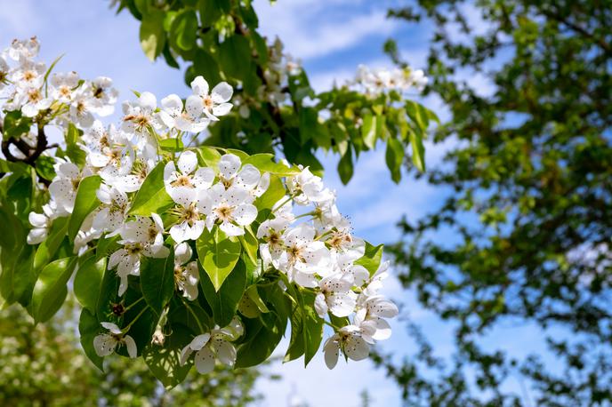 Sonce. Vreme. Pomlad. Hribi. | Foto Shutterstock