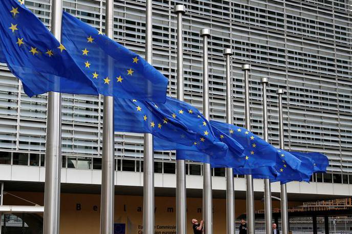 evropski parlament | Izvršni odbor DeSUS je danes odprl postopke za nastop na evropskih volitvah. Pripravljajo se za samostojno listo, a še ne izključujejo možnosti sodelovanja, je povedal predsednik Karl Erjavec. | Foto Reuters