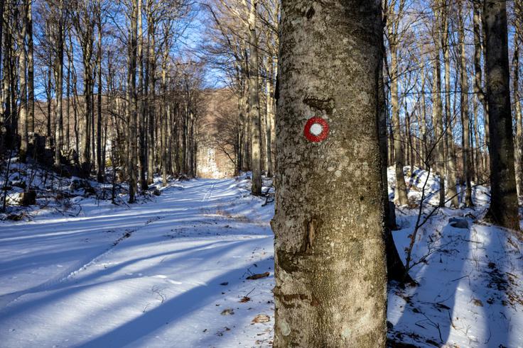 Z razgledišča krenemo po desni cesti najprej na sam vrh Čavna, na Veliki Modrasovec. Celotna pot je markirana. | Foto: Matej Podgoršek