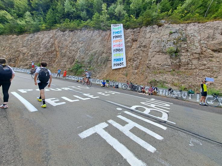 Francozi obožujejo Thibauta Pinota. | Foto: Alenka Teran Košir